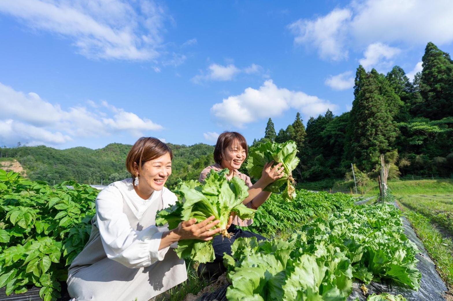 Music Forest 八音盒主题森林别墅和露营地 Tamba-Sasayama 外观 照片