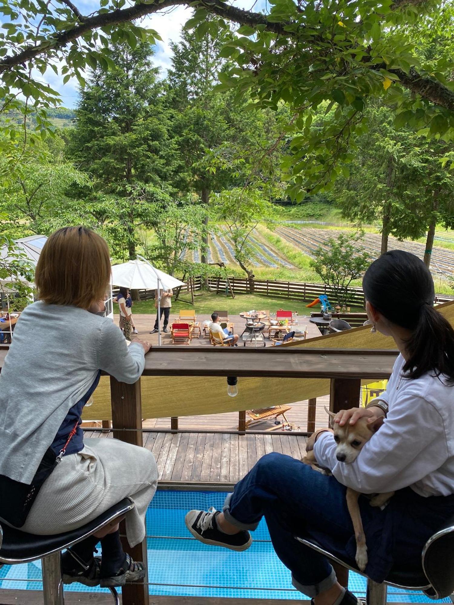 Music Forest 八音盒主题森林别墅和露营地 Tamba-Sasayama 外观 照片